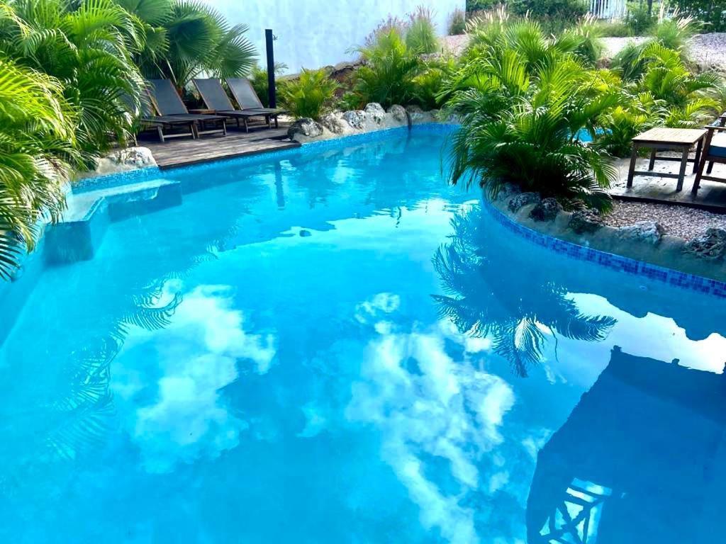 וילמסטאד Neue Villa Tropic Paradise מראה חיצוני תמונה